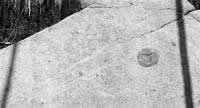 rocks