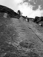 careno