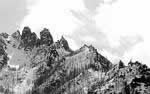 rat creek